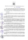 Vista preliminar de documento RER N° 460-2022.