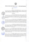 Vista preliminar de documento R.D. Nº 027-2022 CONFORMAR EL CMITE DE VERIFICACION Y RECEPCION.pdf