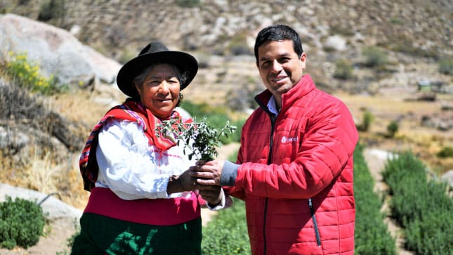 El Indecopi promueve Denominación de Origen Orégano de Tacna que contribuirá al desarrollo de los productores