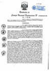 Vista preliminar de documento RCNP 124-2015.pdf