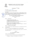Vista preliminar de documento ORDENANZA-049-MDPP