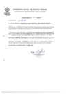 Vista preliminar de documento ORDENANZA-101-MDPP