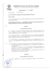 Vista preliminar de documento ORDENANZA-104-MDPP