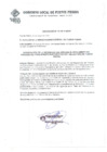 Vista preliminar de documento ordenanza_0161_2010_MDPP