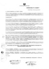 Vista preliminar de documento ordenanza216-2013