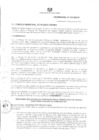 Vista preliminar de documento ordenanza213-2013