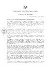 Vista preliminar de documento ordenanza300-2016