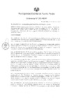 Vista preliminar de documento ordenanza295-2016