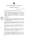 Vista preliminar de documento ordenanza341-2018