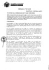 Vista preliminar de documento ord0357-mdpp