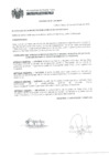 Vista preliminar de documento ord0389-mdpp