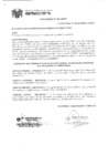 Vista preliminar de documento ord0407-mdpp