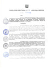 Vista preliminar de documento R.D. Nº 113-2022 APROBAR EL PRESUPUESTO ANALITICO PARCIAL Nº 1-2022