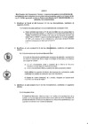 Vista preliminar de documento Anexo
