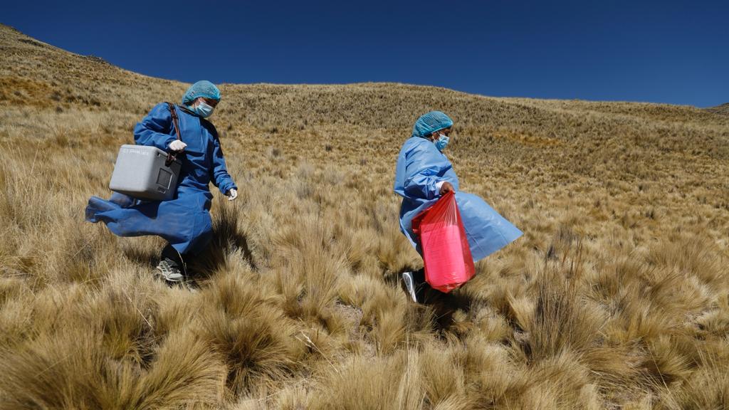 Santa Rosa de Lima: Minsa conmemora el Día de la Enfermería Peruana