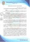 Vista preliminar de documento Resolución de Alcaldía N° 0328-2022/MDPN