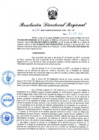Vista preliminar de documento RDR N° 676-2022