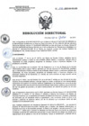 Vista preliminar de documento RD 110-2022-SA-DG-INR.pdf