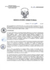 Vista preliminar de documento RD 113-2022-SA-DG-INR.pdf