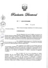 Vista preliminar de documento RD N° 339-2022.pdf
