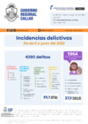Vista preliminar de documento Boletín Informativo II Trimestre