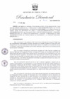 Vista preliminar de documento RD 322-2022-MINEM-OGA.pdf