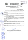 Vista preliminar de documento 2017-2377.pdf