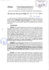 Vista preliminar de documento 2017-2460.pdf