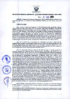 Vista preliminar de documento RGR N°170-2020-GRDS