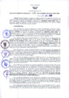 Vista preliminar de documento RGR N°156-2020-GRDS