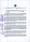 Vista preliminar de documento RGR N°77-2020-GRDS