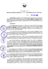 Vista preliminar de documento RGR N°73-2020-GRDS