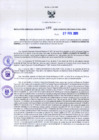 Vista preliminar de documento RGR N°79-2020-GRDS