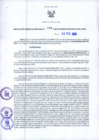 Vista preliminar de documento RGR N°58-2020-GRDS