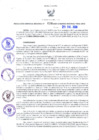 Vista preliminar de documento RGR N°28-2020-GRDS