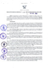 Vista preliminar de documento RGR N°37-2020-GRDS