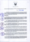 Vista preliminar de documento RGR N°31-2020-GRDS