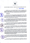 Vista preliminar de documento RGR N°30-2020-GRDS