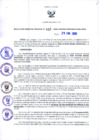 Vista preliminar de documento RGR N°32-2020-GRDS