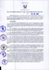 Vista preliminar de documento RGR N°34-2020-GRDS