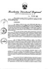 Vista preliminar de documento Resolución Directoral N° 01334-2017