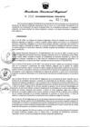 Vista preliminar de documento Resolución Directoral N° 00347-2018