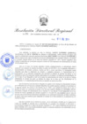 Vista preliminar de documento Resolución Directoral N° 00271-2019