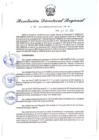 Vista preliminar de documento Resolución Directoral N° 00088-2020