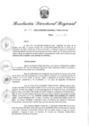 Vista preliminar de documento Resolución Directoral N° 00132-2020