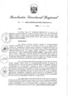 Vista preliminar de documento Resolución Directoral N° 00133-2020