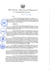Vista preliminar de documento Resolución Directoral N° 00144-2020