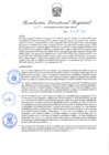 Vista preliminar de documento Resolución Directoral N° 00231-2021
