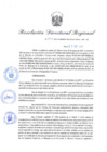 Vista preliminar de documento Resolución Directoral N° 00254-2021