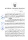Vista preliminar de documento Resolución Directoral N° 00262-2021